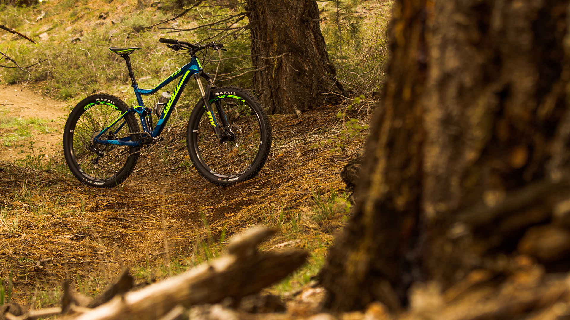 2016 Giant Bicycles, stance adv