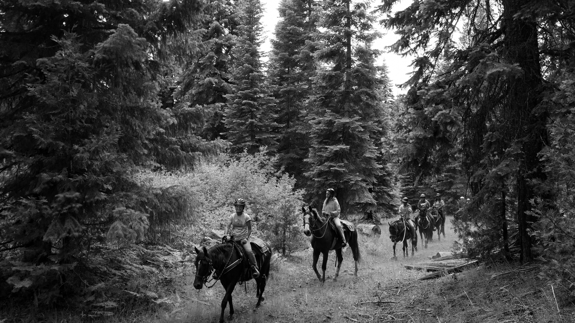 Mount Hermon Kidder Creek, Ranch Camp