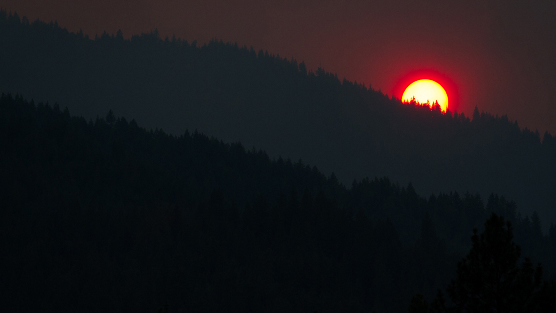 the sun sets through deep smoke behind a ridge of trees