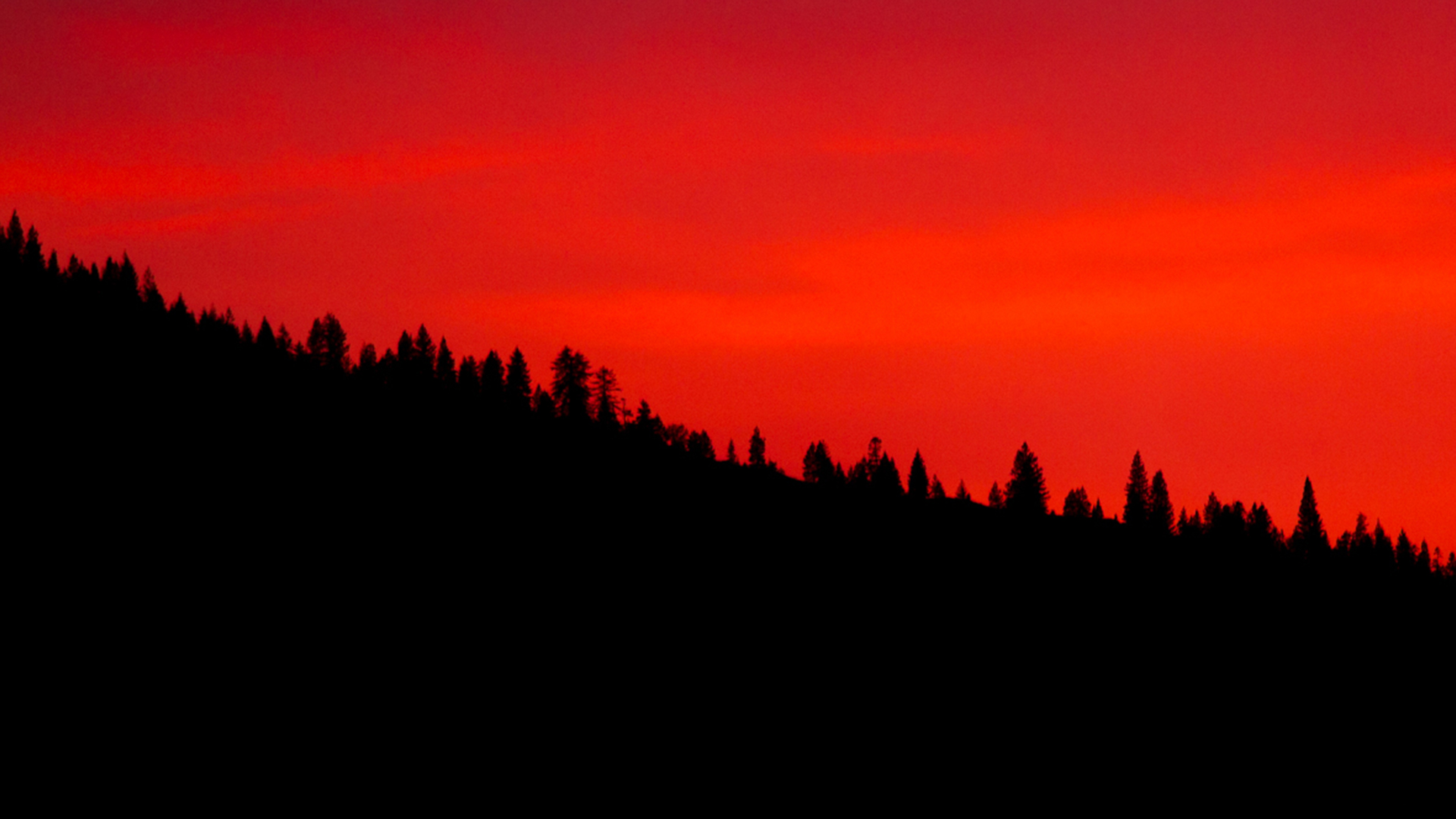  bright orange sky and black sillouetted trees